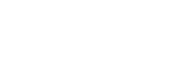 SBTech White